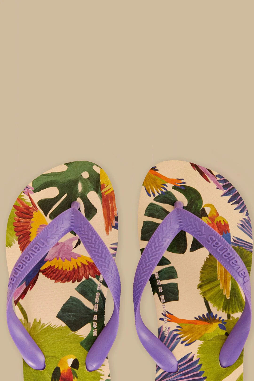 Farm Passaros Pintados Havaianas Sandals