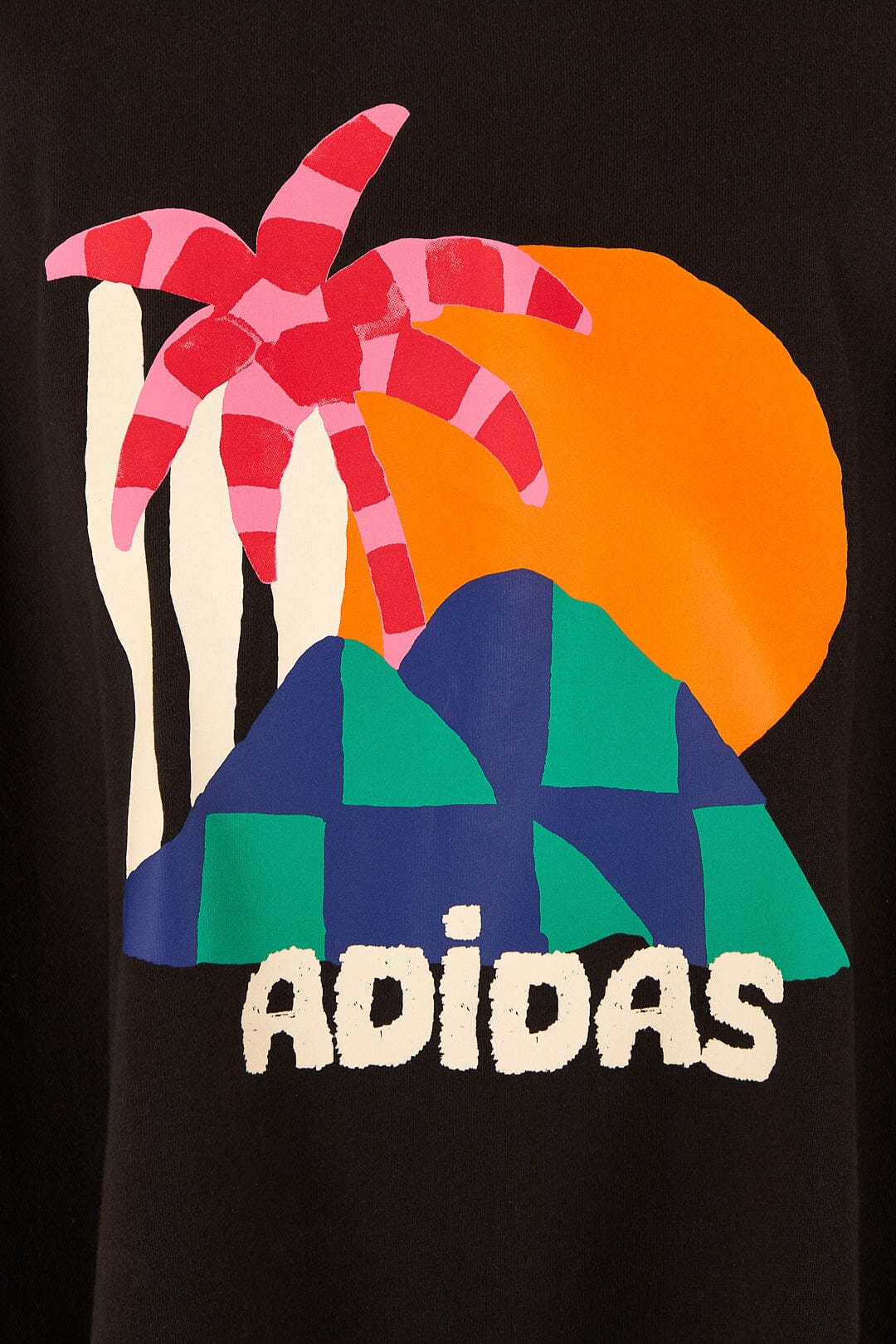 Adidas Farm Gfx Tee Black