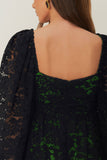 Black Lace Long Sleeve Midi Dress