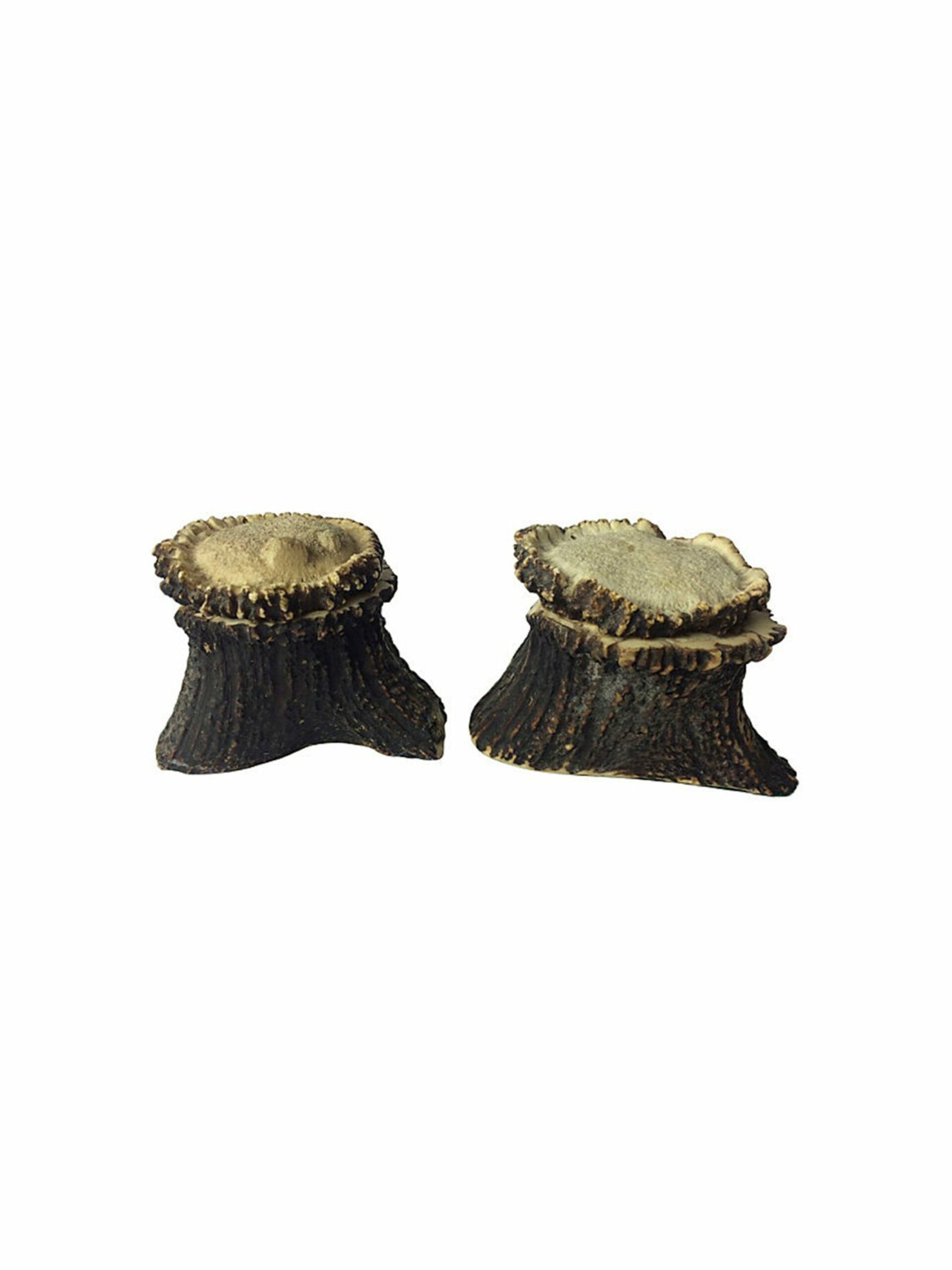 Vintage 19th Century English Antler Inkwells