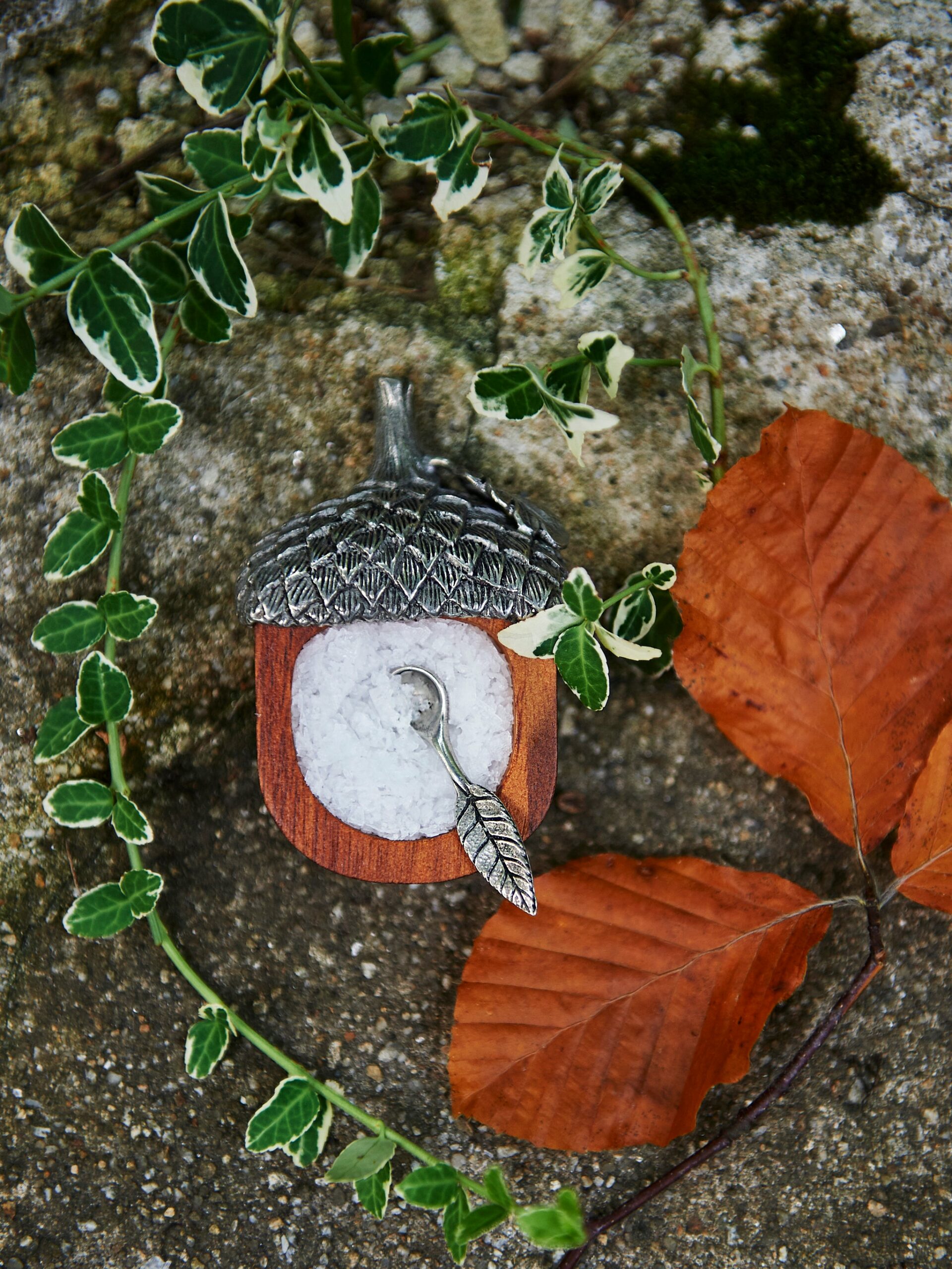 Acorn Salt Cellar and Spoon