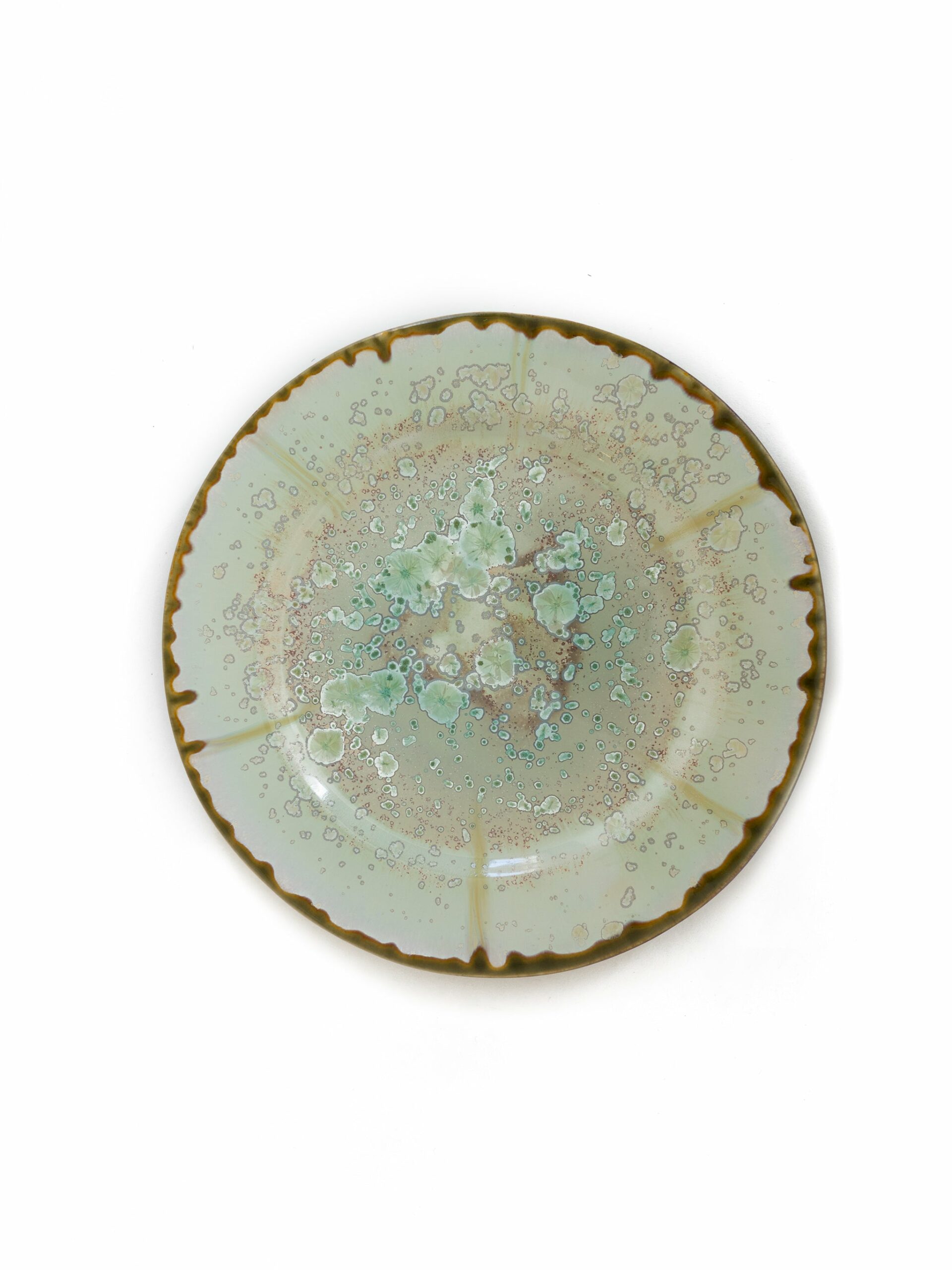 Mint and Tortoise Oyster Dinner Plate