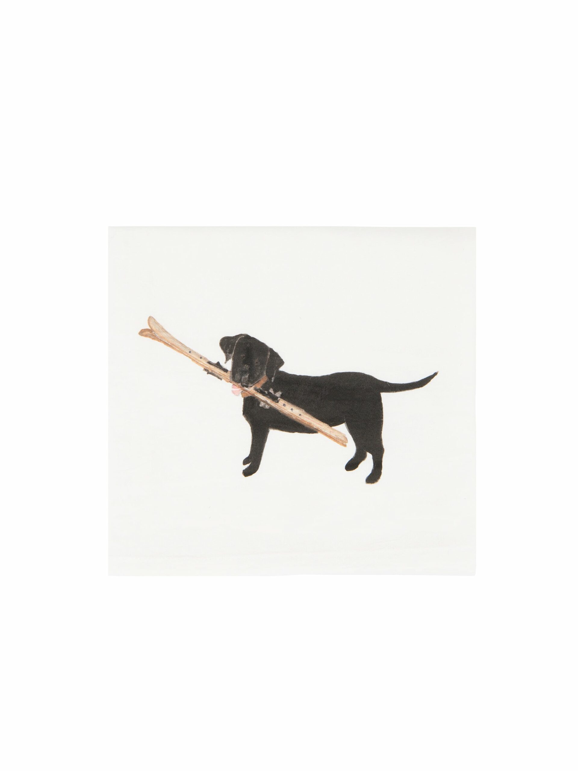 Black Lab with Skis Flour Sack Towel