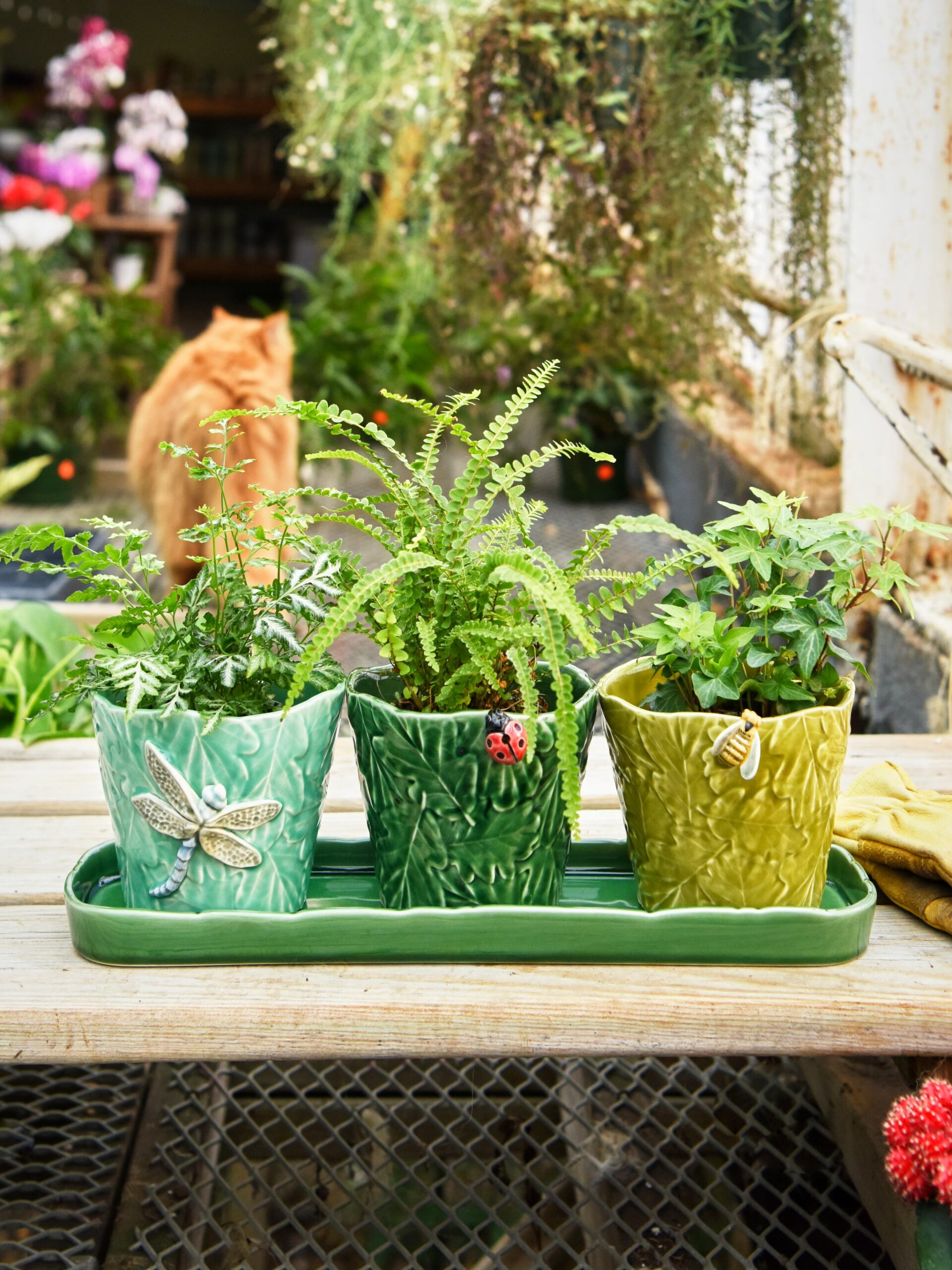 Bordallo Pinheiro Garden of Pots