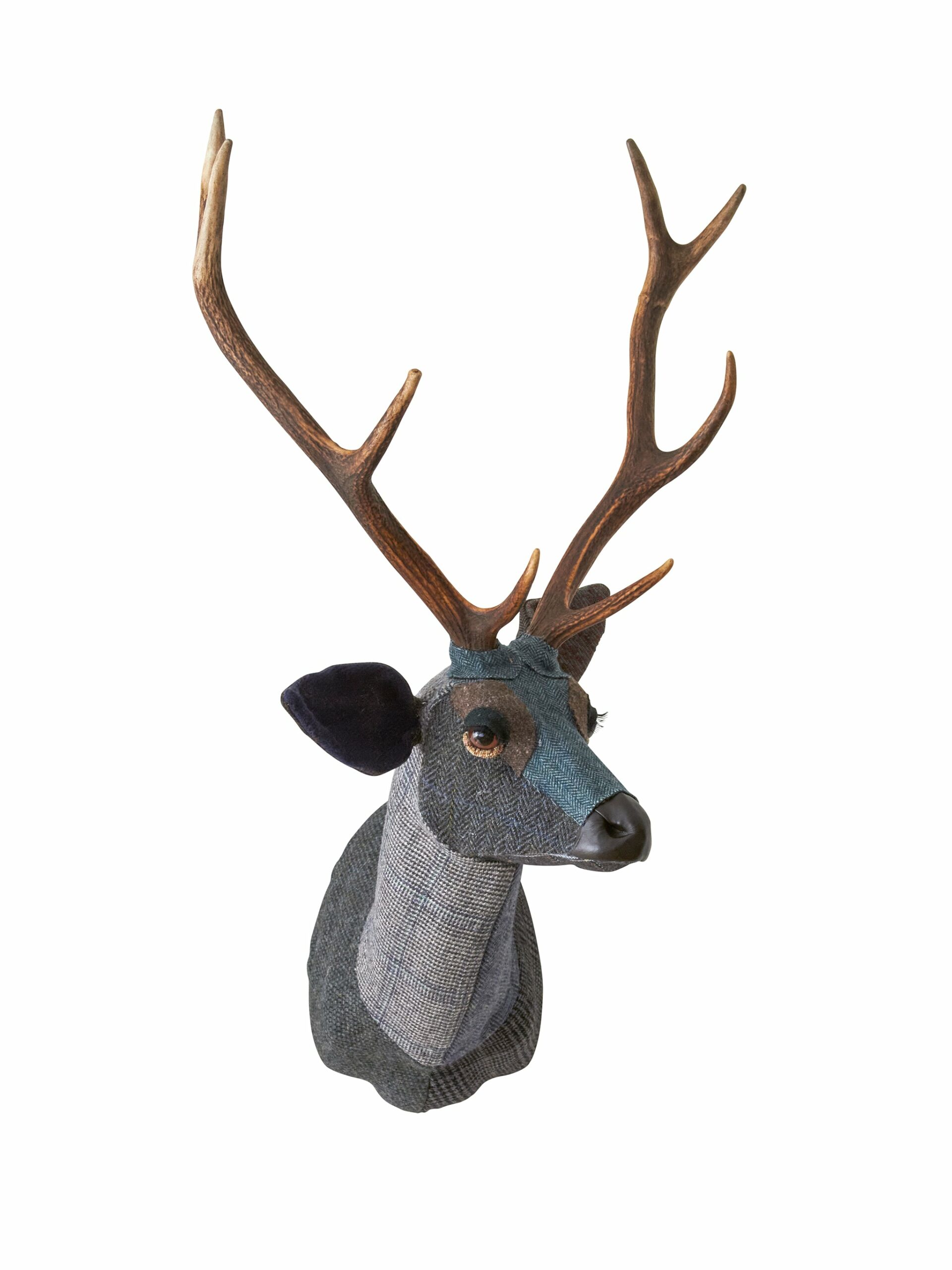 Carola van Dyke Blue Sika Deer