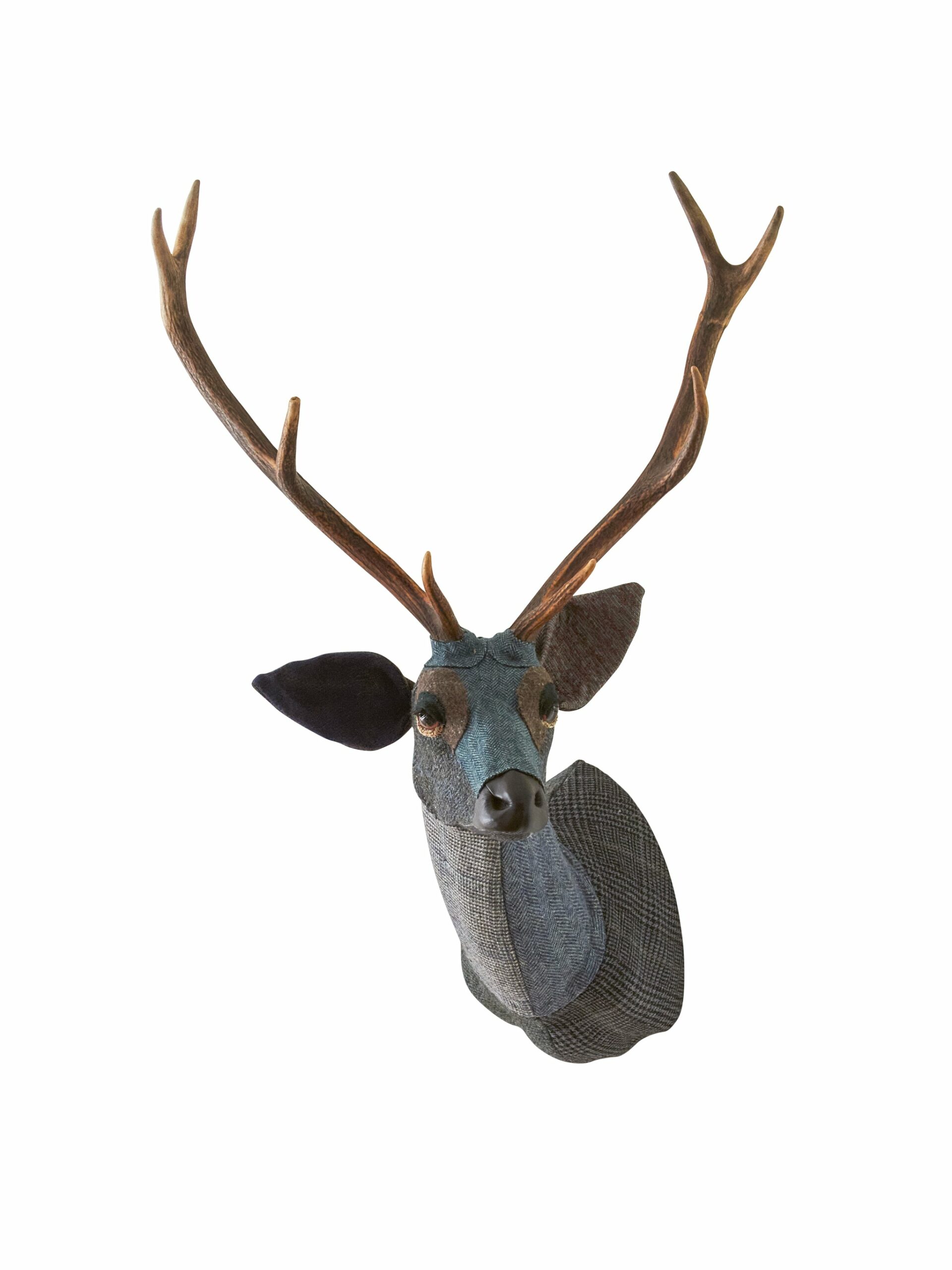 Carola van Dyke Blue Sika Deer