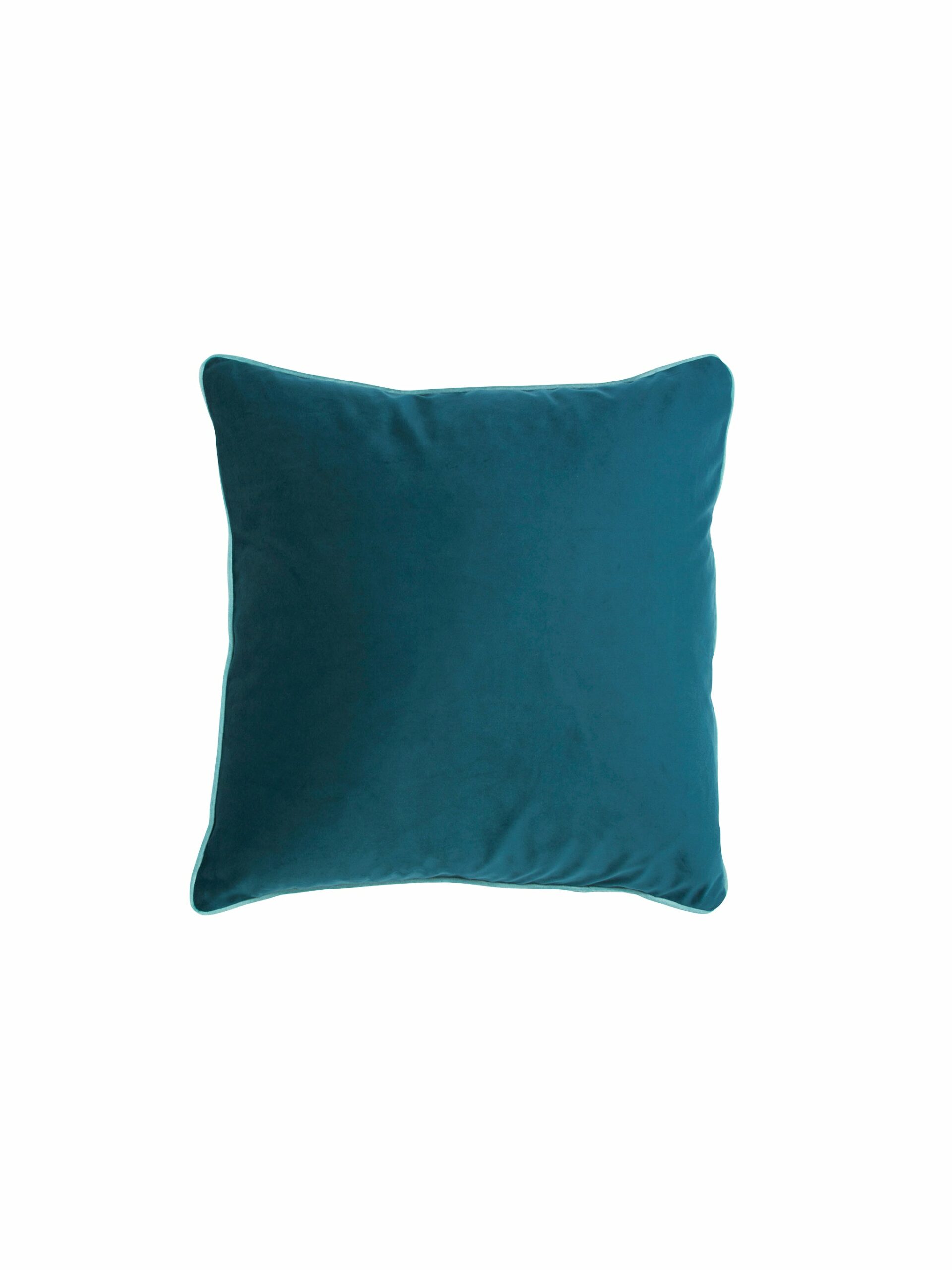 Duck Blue Velvet Pillow