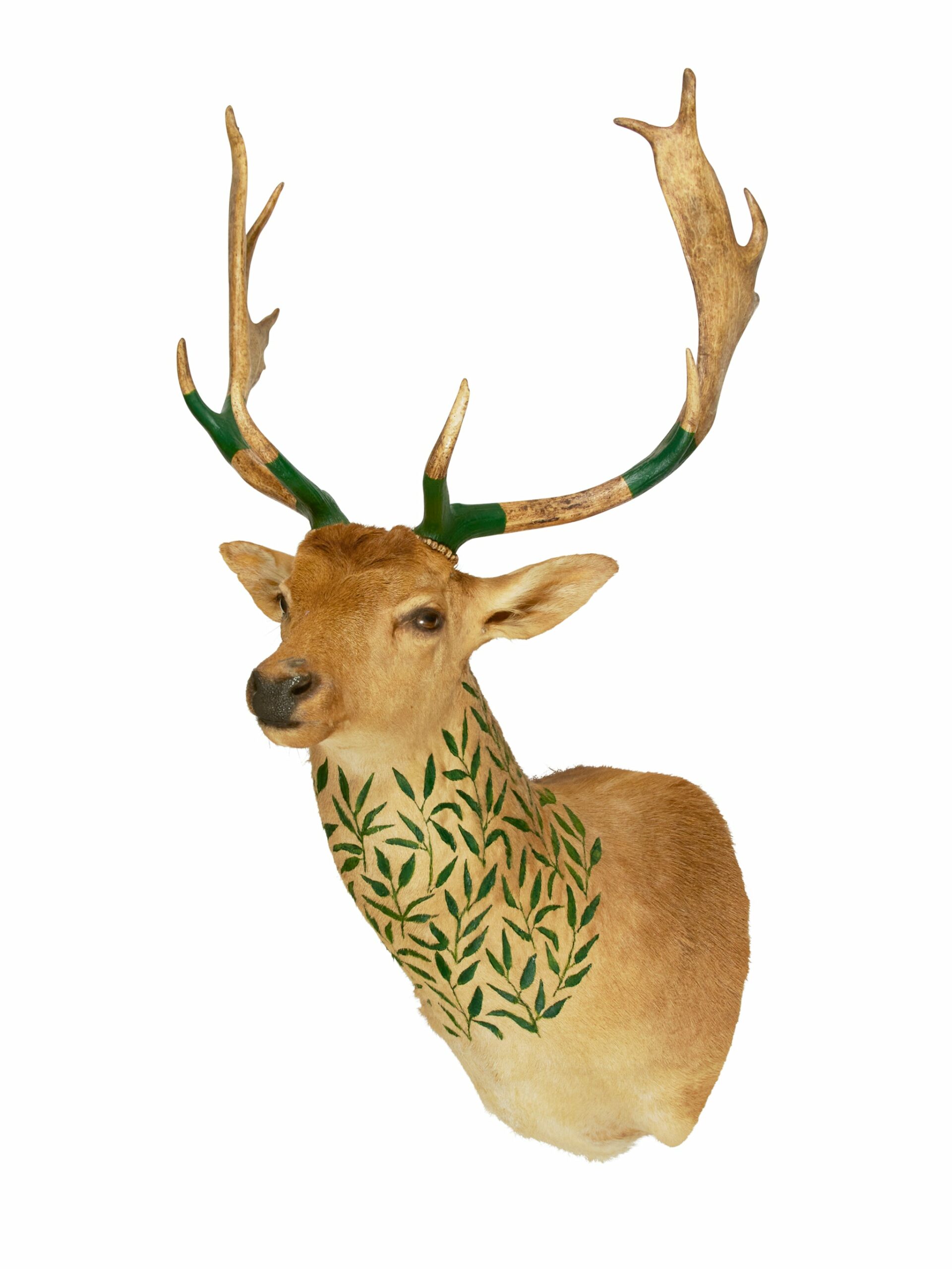 Hand Painted Fallow Deer Trophy