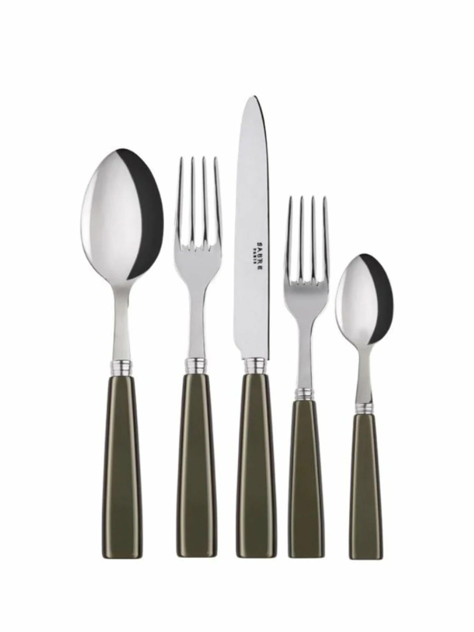 Sabre Paris Icone Olive 5 PIece Place Setting