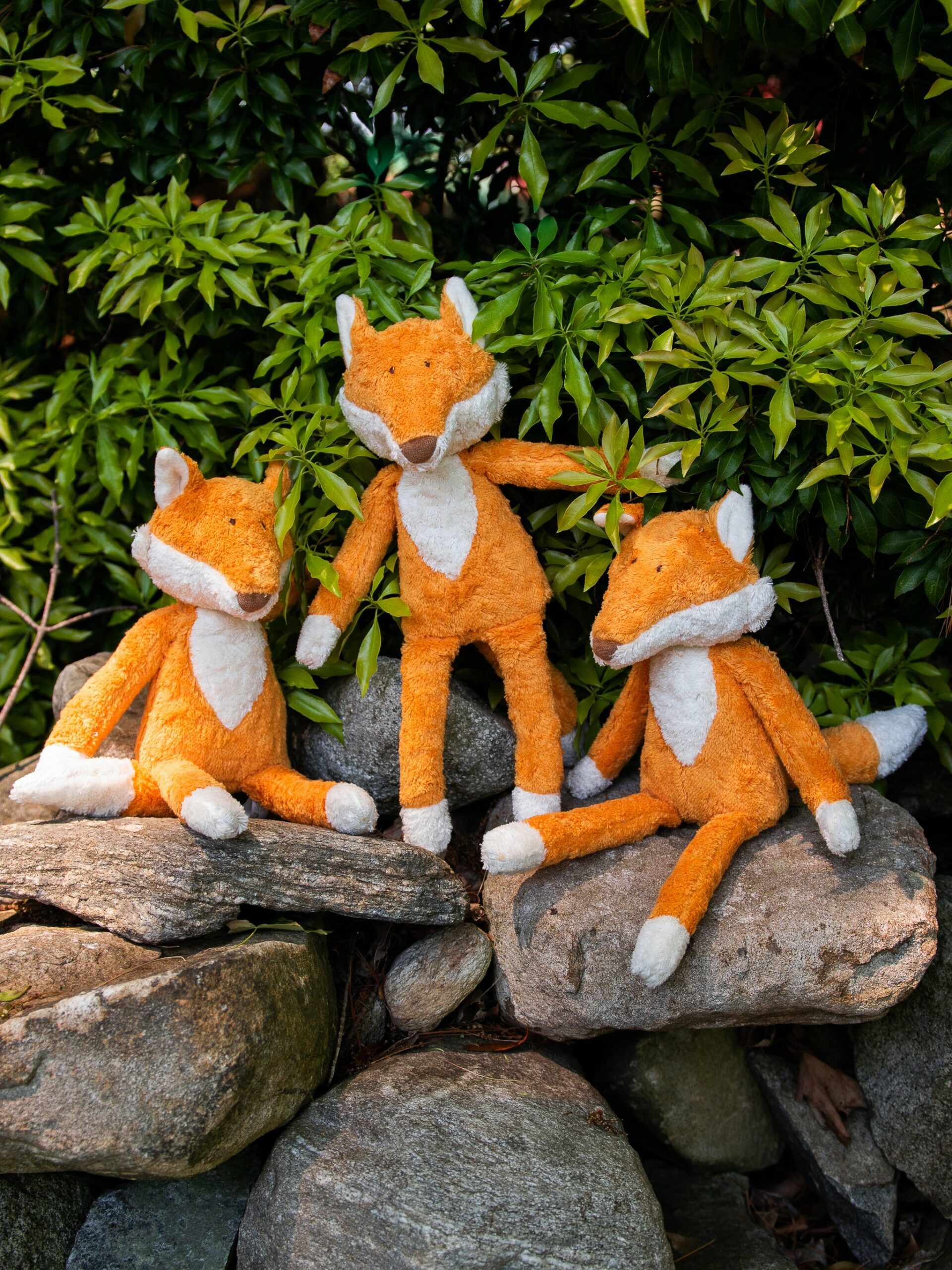 Sigikid Organic Plush Fox