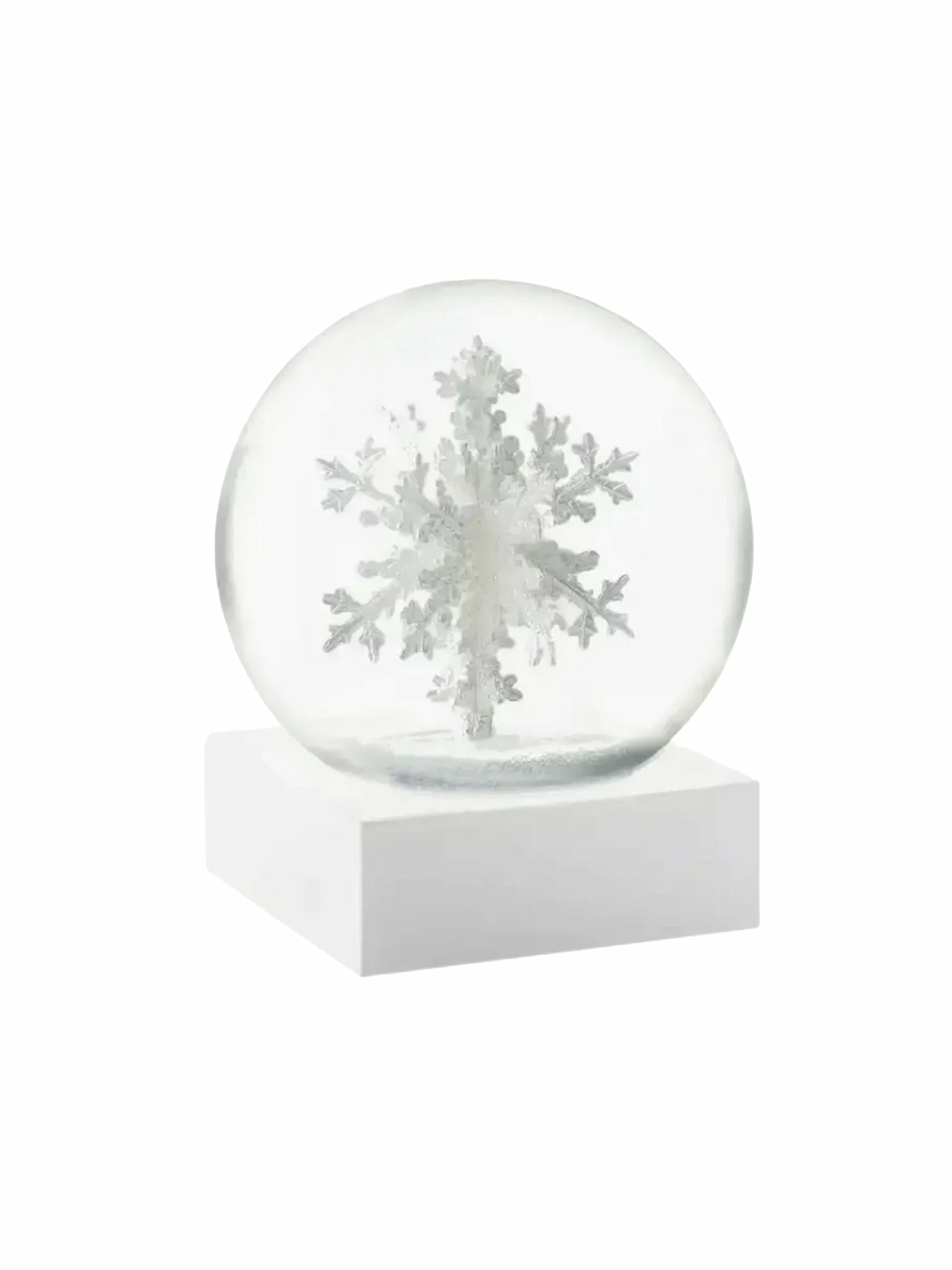 Snowflake Snow Globe