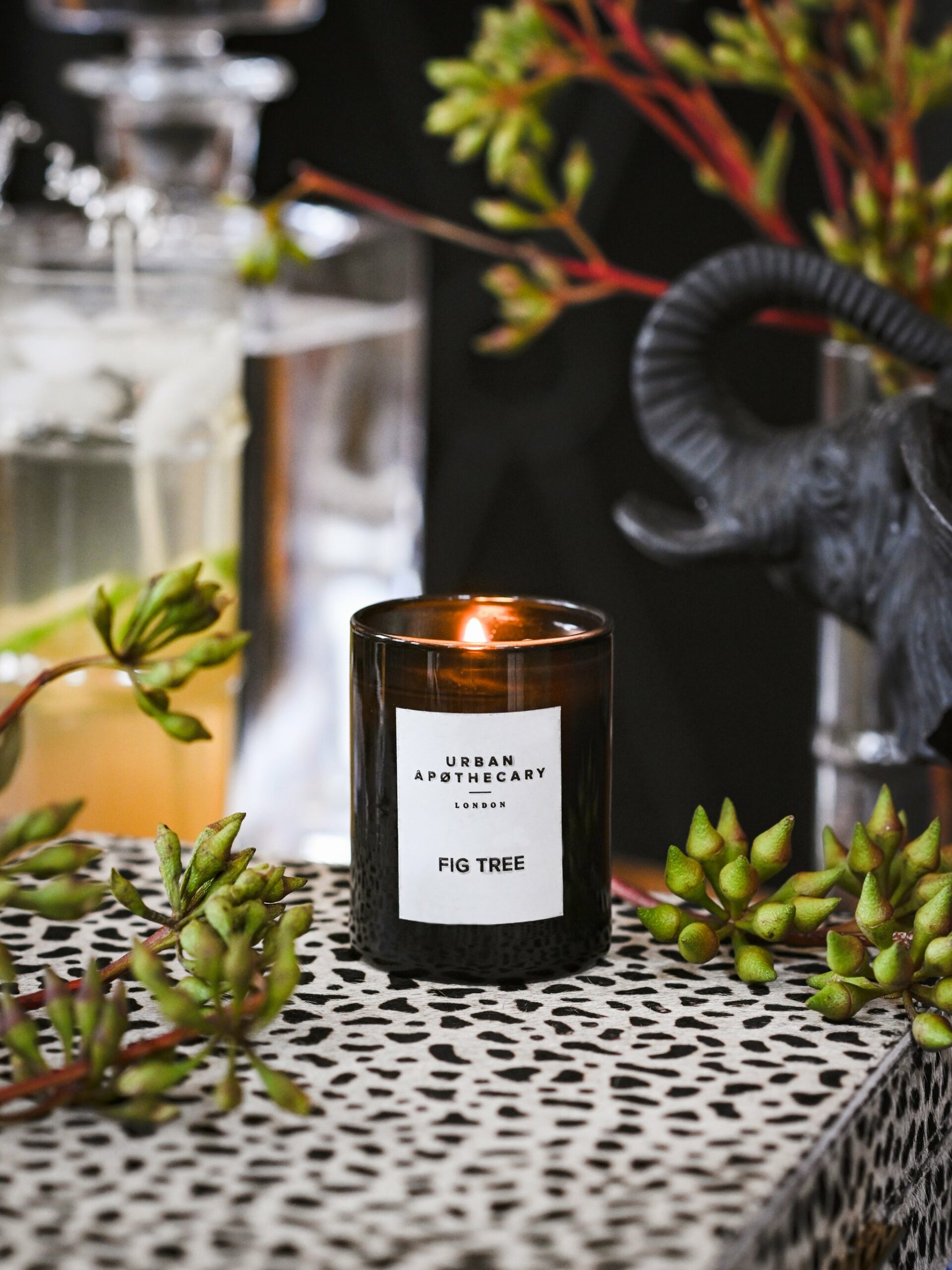 Urban Apothecary London Luxury Fig Tree Scented Candle