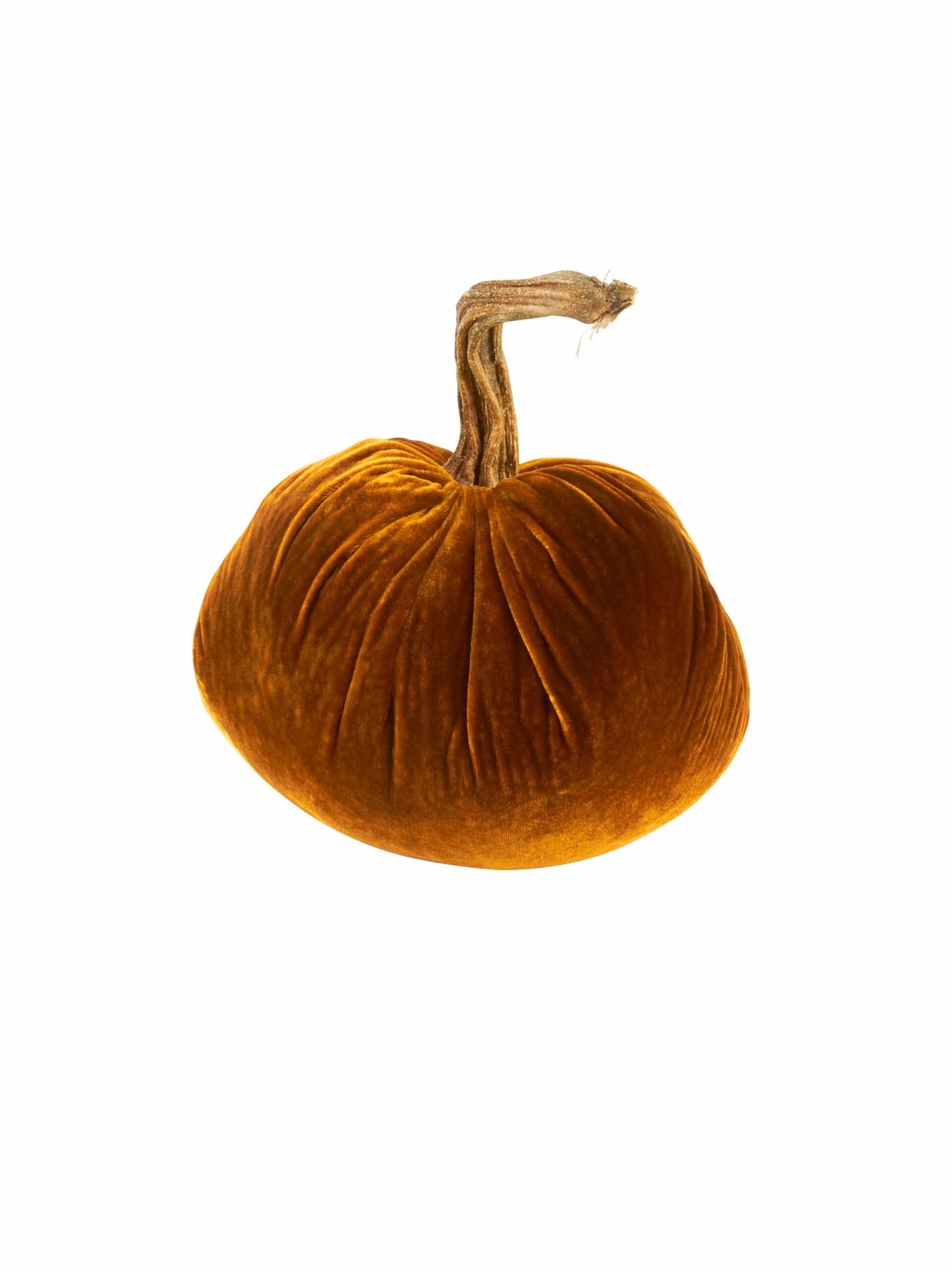 Velvet Pumpkin Collection