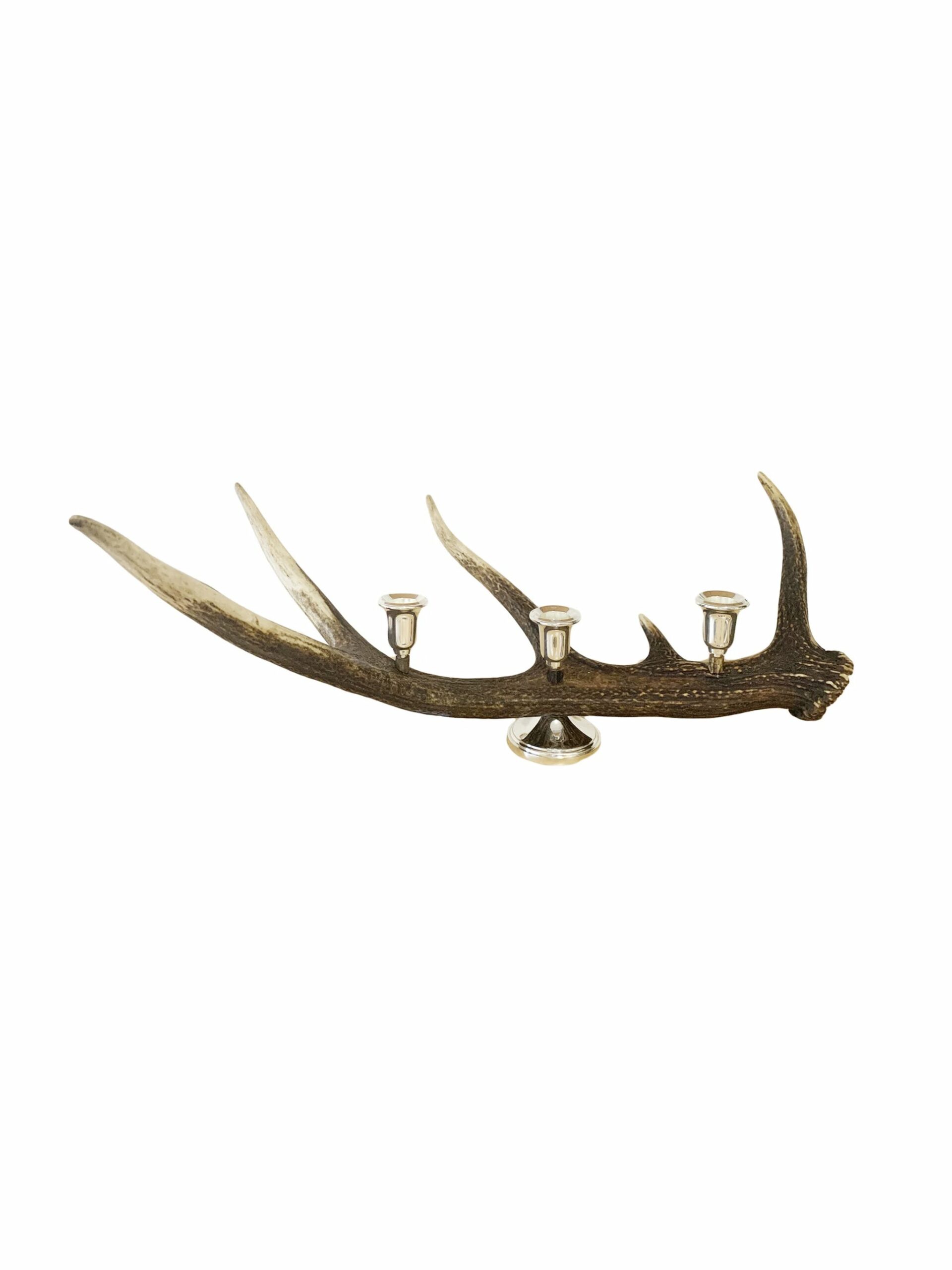 Antler Candelabra