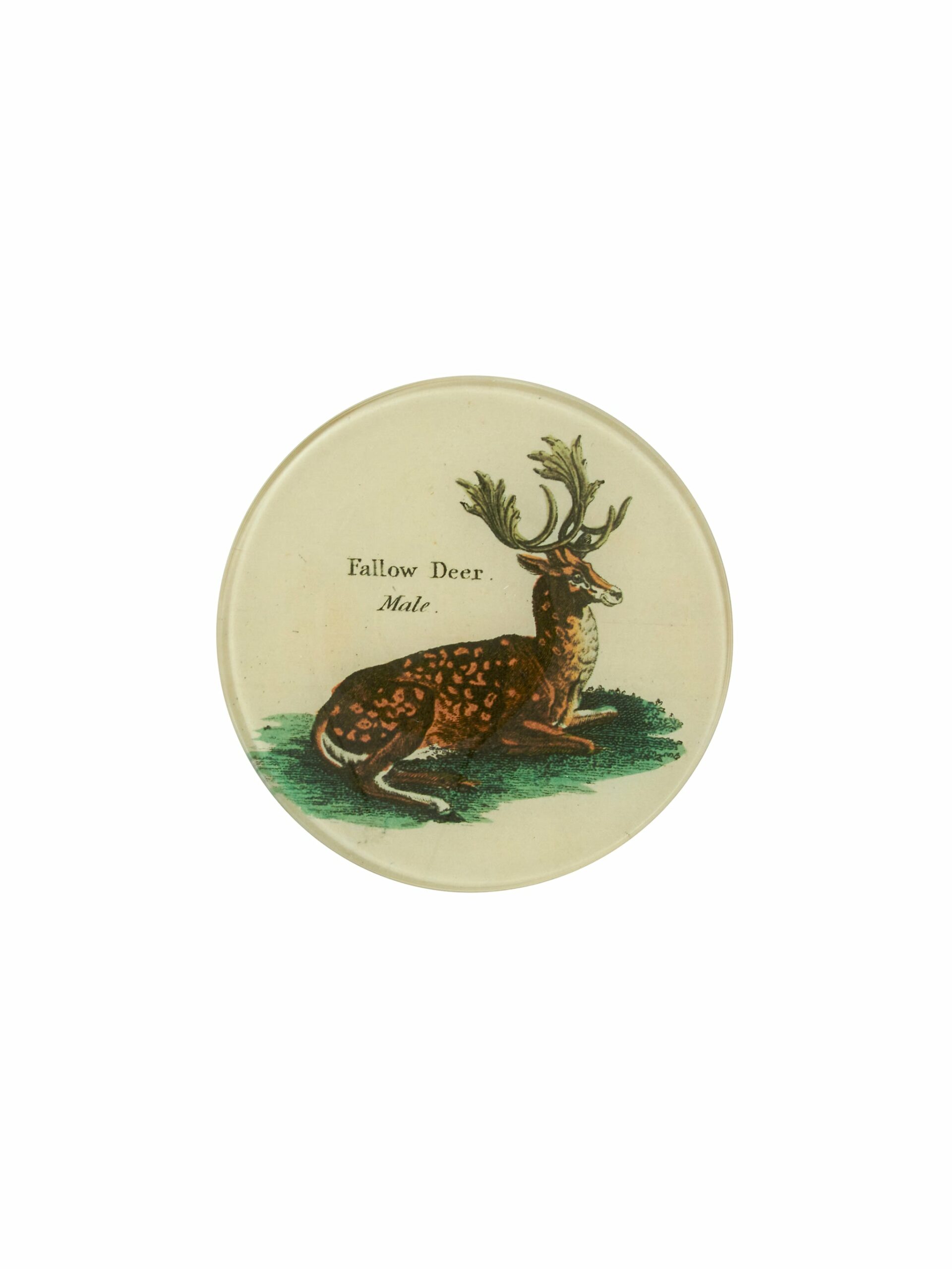 Vintage John Derian Fallow Deer Round Plate