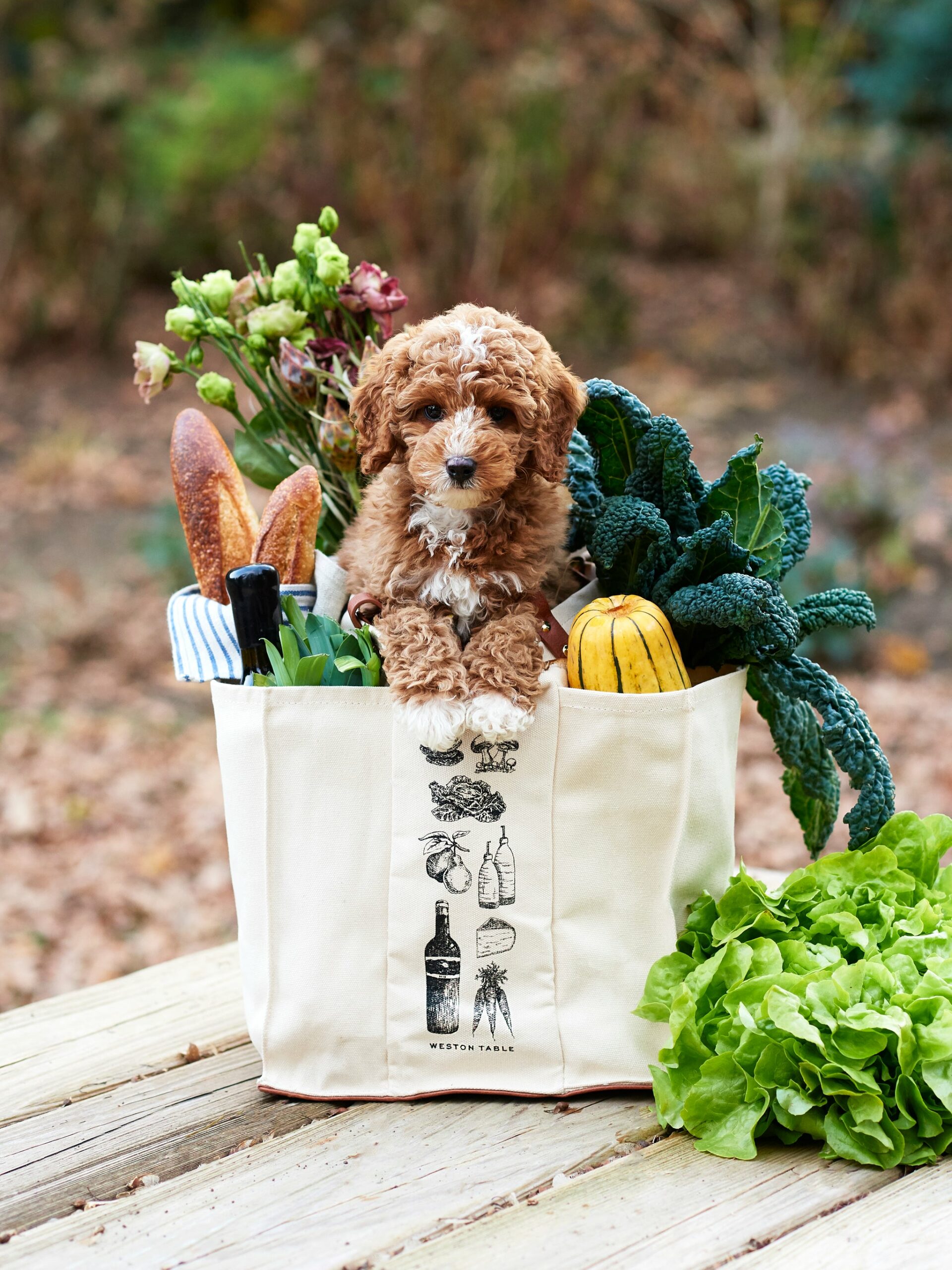 Market Tote