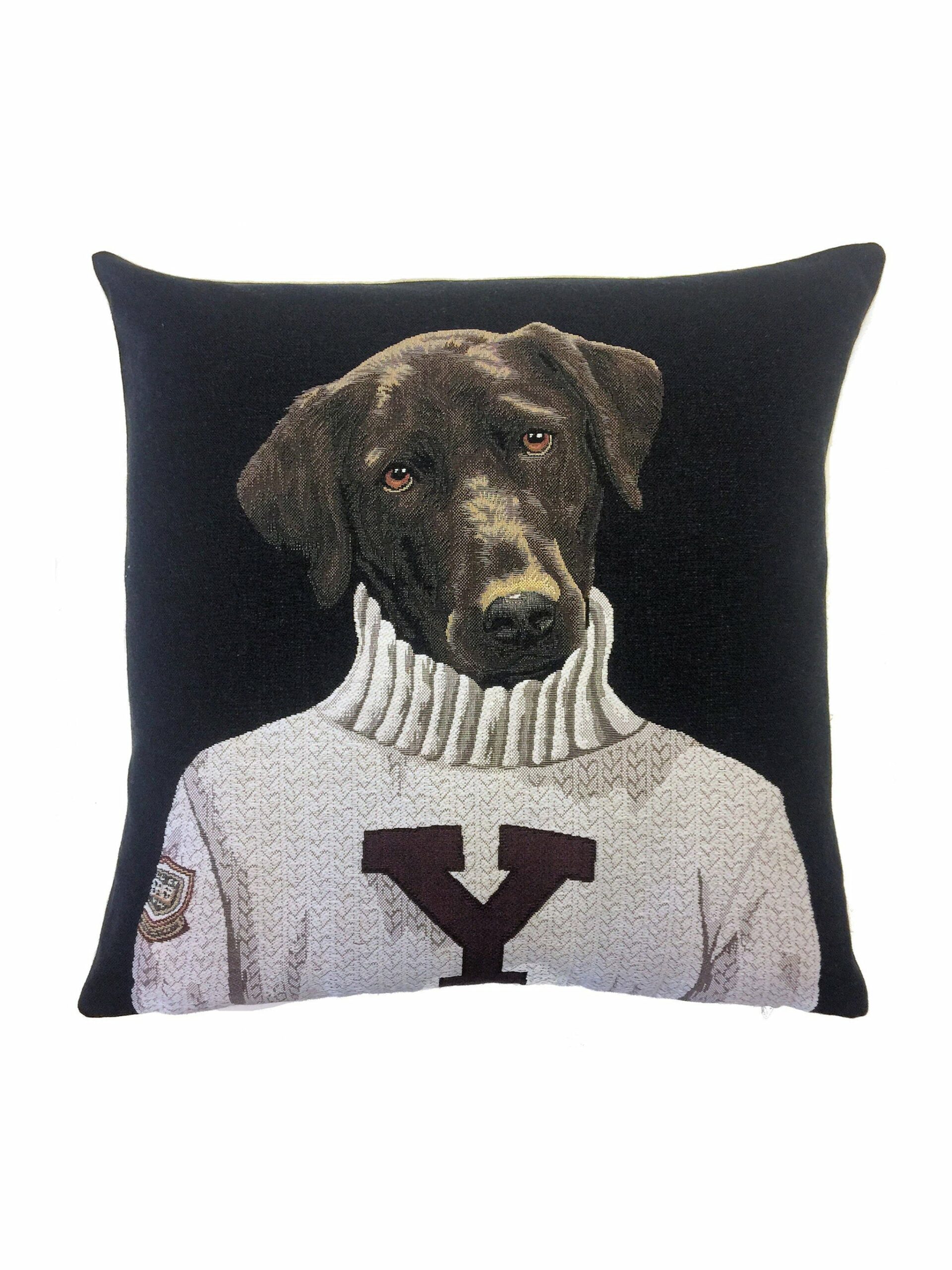 Yale Chocolate Labrador Pillow